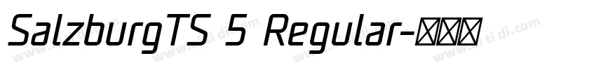 SalzburgTS 5 Regular字体转换